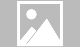 大白鲨视频,大白鲨的致命猎杀